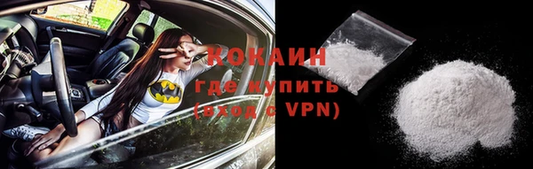 стафф Елизово