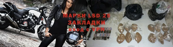 a pvp Ельня