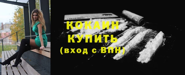 стафф Елизово