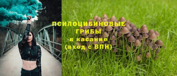 стафф Елизово
