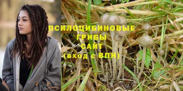 a pvp Ельня