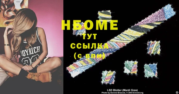 стафф Елизово