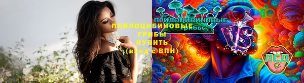 круглые Елабуга