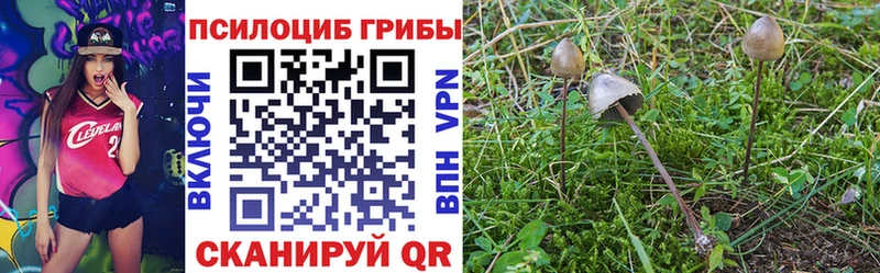 Галлюциногенные грибы мухоморы  Ивантеевка 